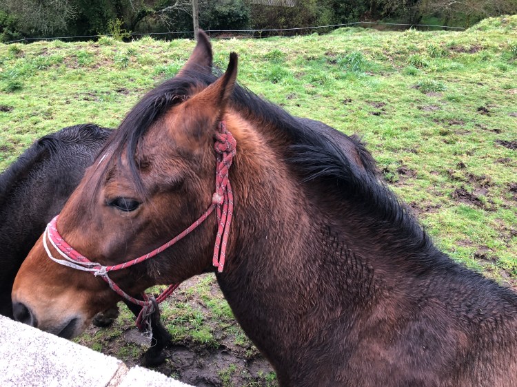 14B5FD65-7FE5-496E-AB80-762BEA11FDA4