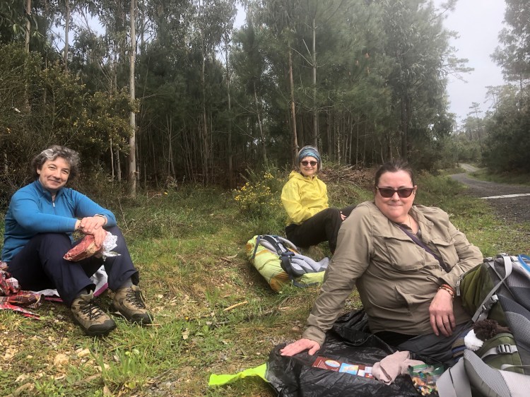 1903C009-4364-428E-952C-7B05CC199914