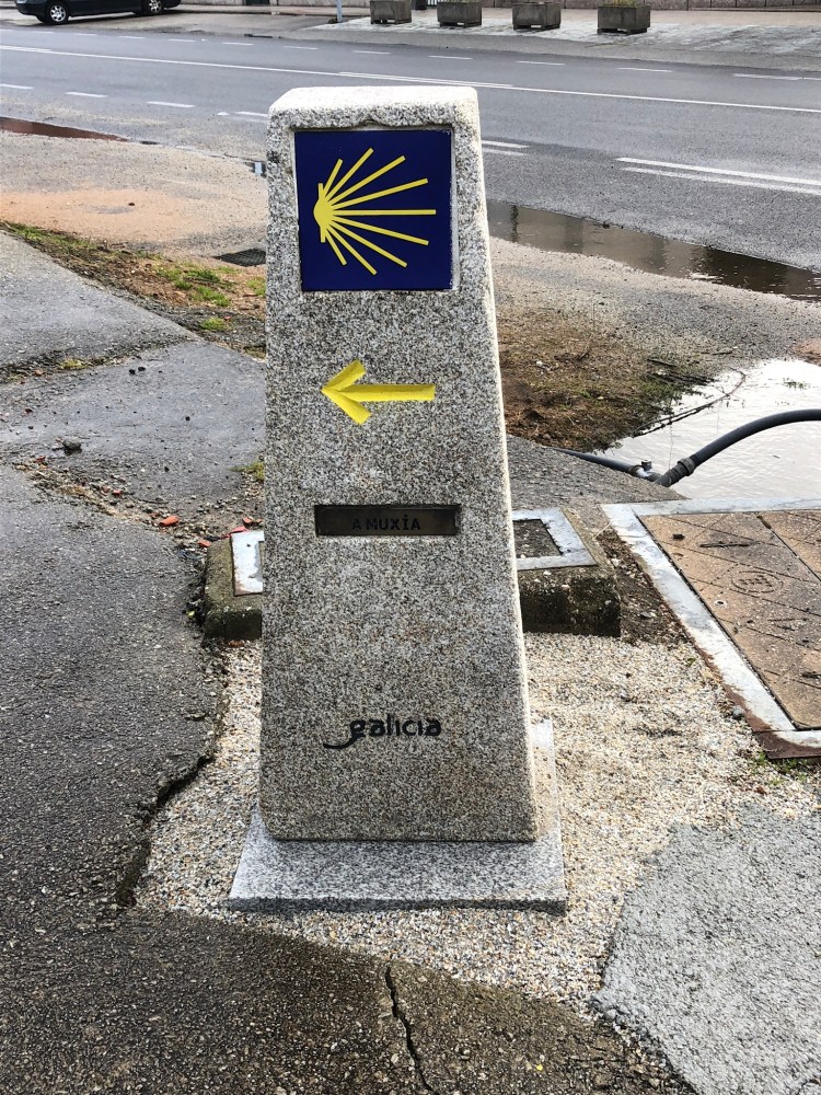 191F990C-E154-4365-95D4-C1247F19A869