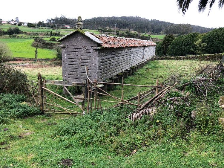 1D3853DC-5BB9-415B-AF24-1666F16AC0C5