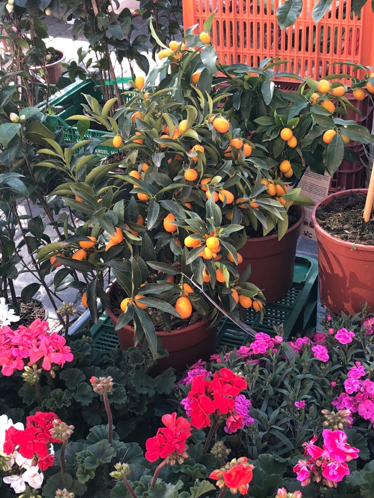 25EF6FA8-8805-4109-8923-0B59A36A6D7C