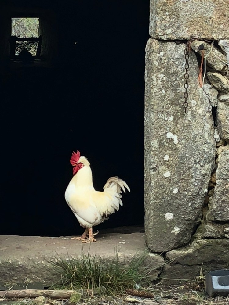 2B721483-32BE-4E6A-A0DB-32B09A116F0F