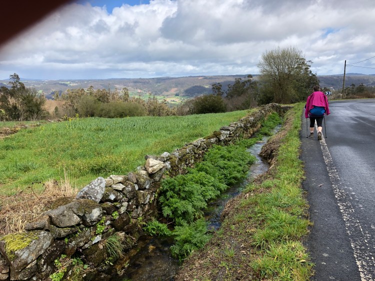 2E65EB58-B333-484E-BDA8-366B490F7EE1