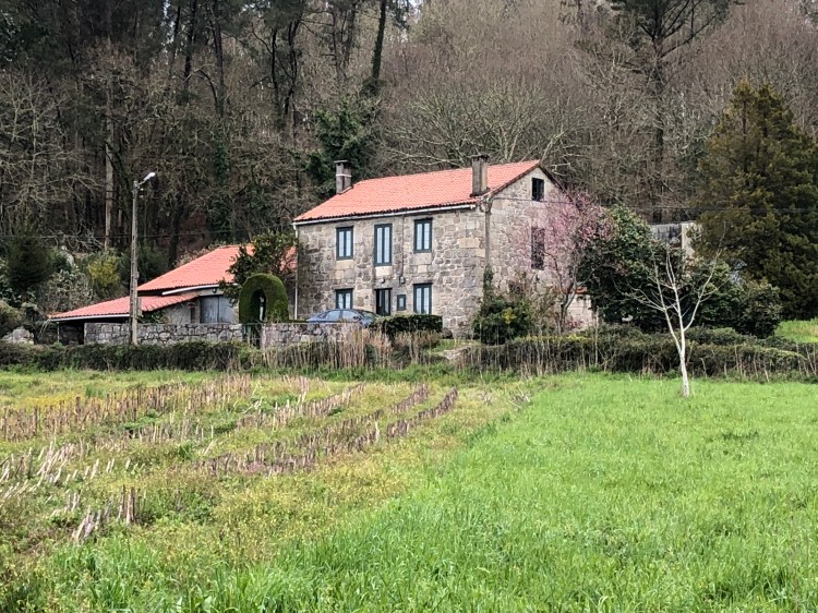 33A379DA-9A87-4D7E-9AC1-038C75D553CF