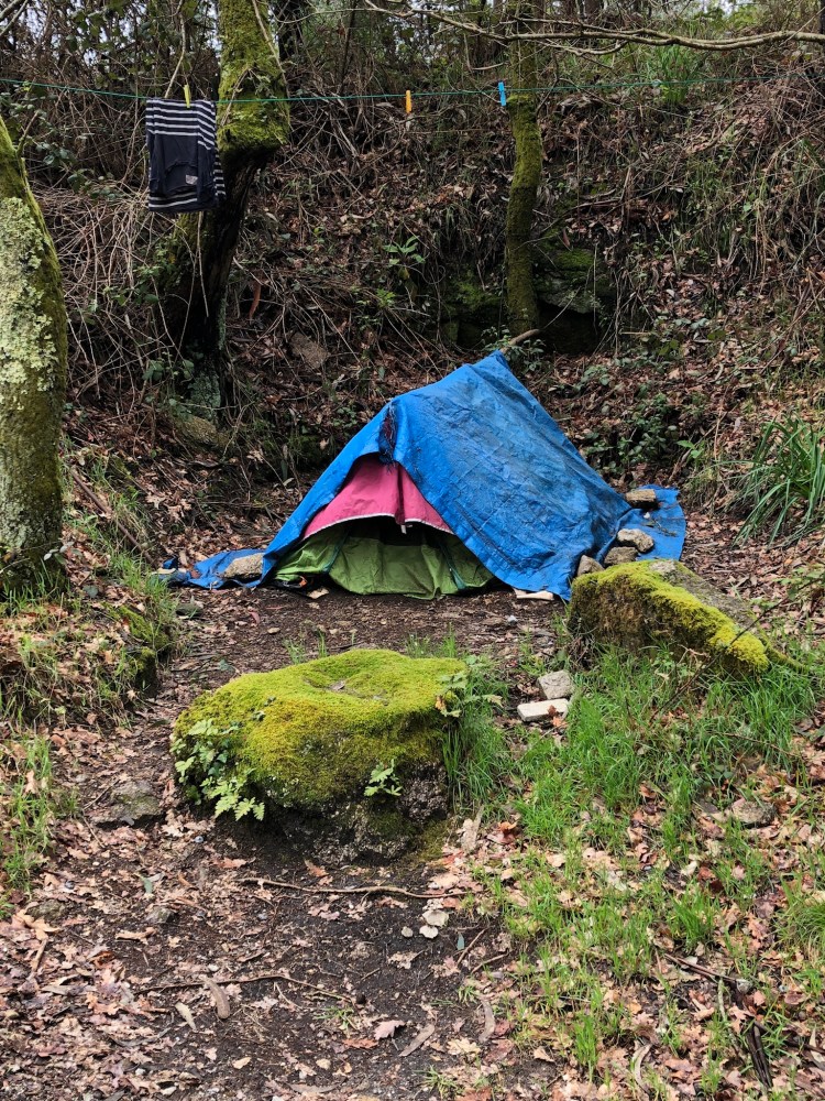 3965E897-01CD-43FC-963C-F40A941A89D2