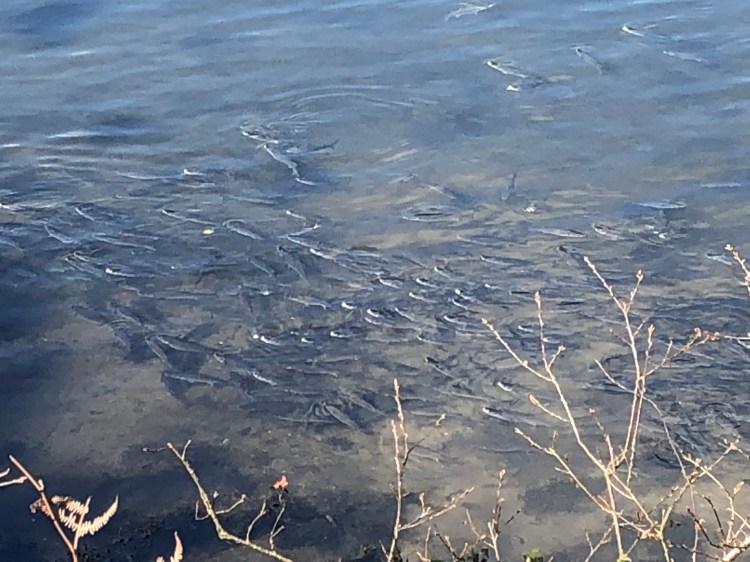 44354154-60F5-43AE-9821-3539F753B125