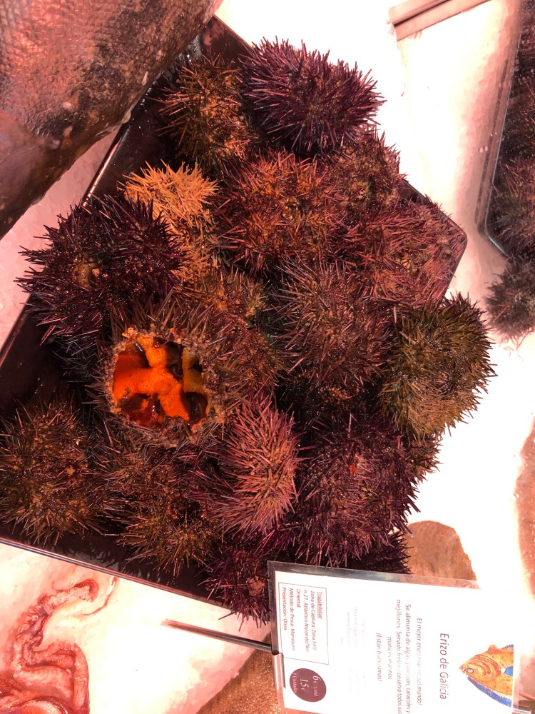 48FAB4AD-6C2B-44EA-B544-A2F57C649D54