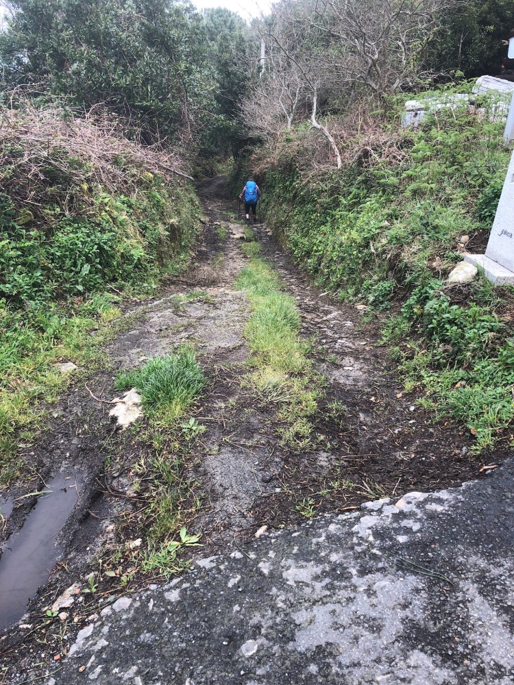 49C57043-DDB4-4F41-BC1A-2A9134C4445D