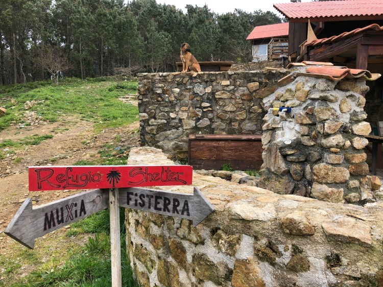 4D2DC754-8442-4D22-955A-99819DA8F527