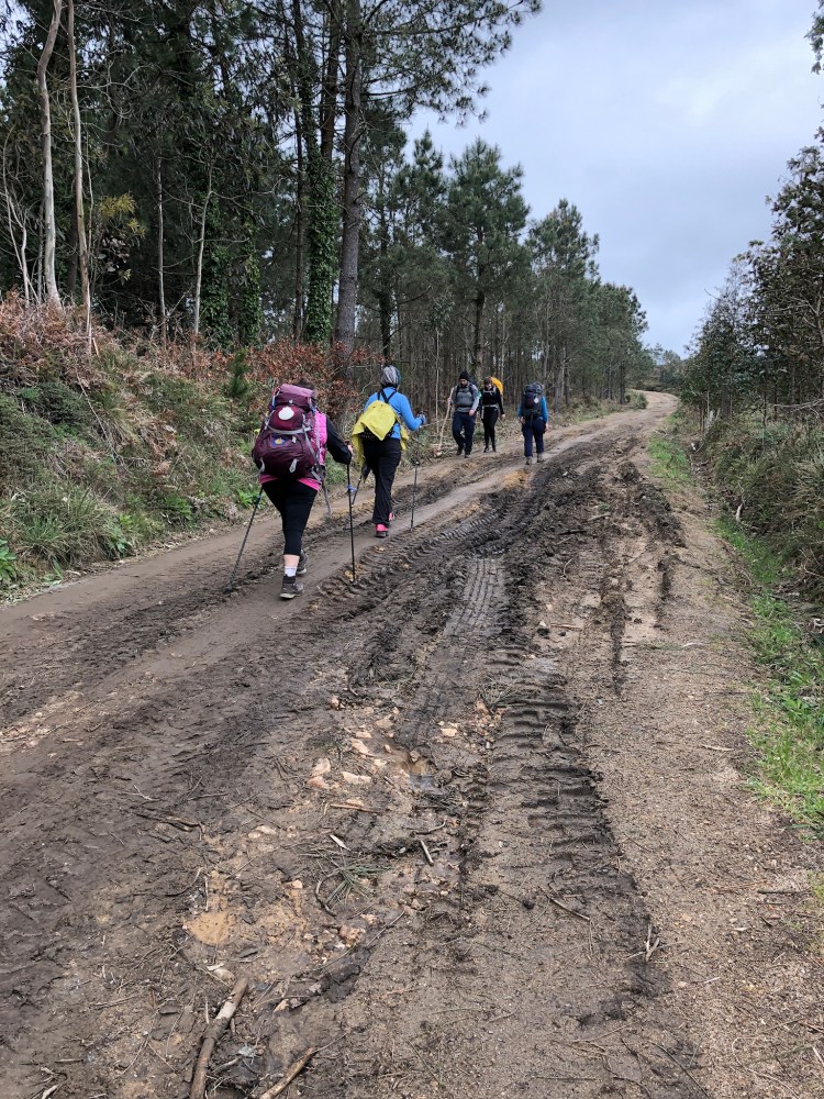 547D8303-E908-403D-B96A-04E8D1842AB1