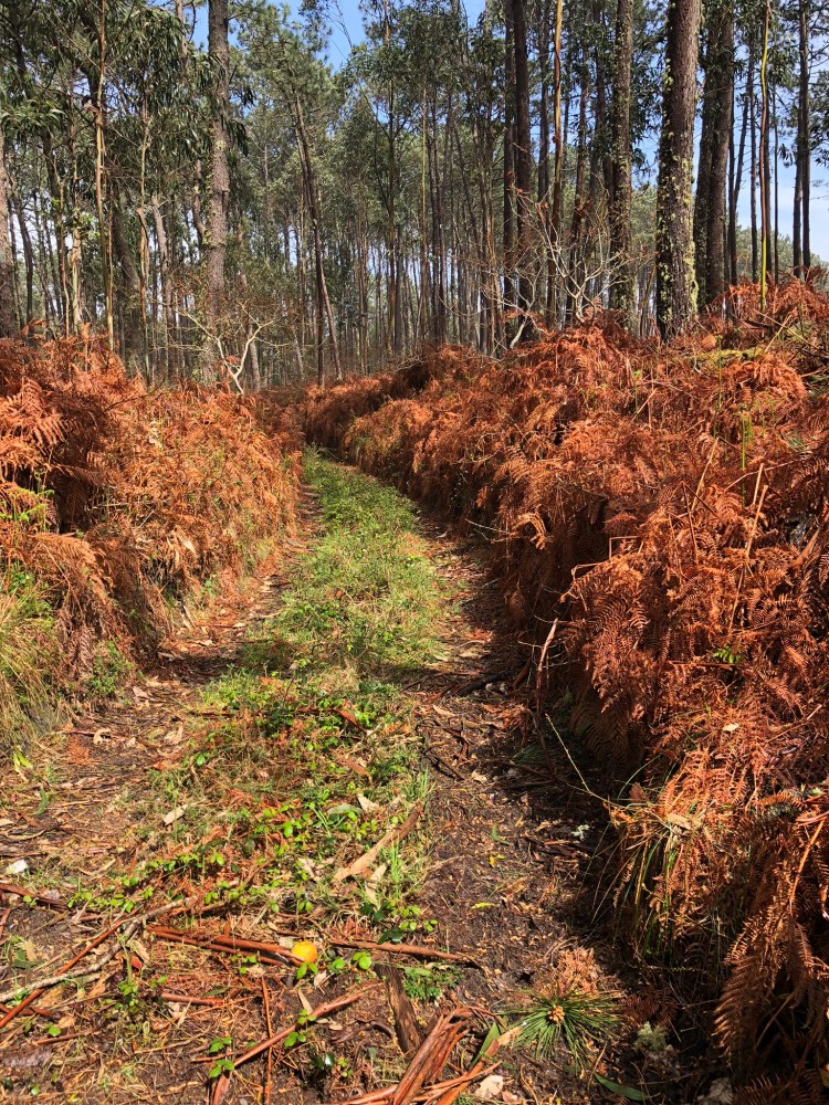 609C48DD-41E4-4A9B-933F-92B260A33951