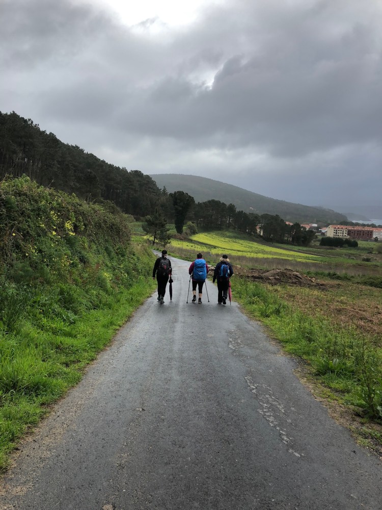 698BC397-887B-4E71-8F98-EE44F872D161