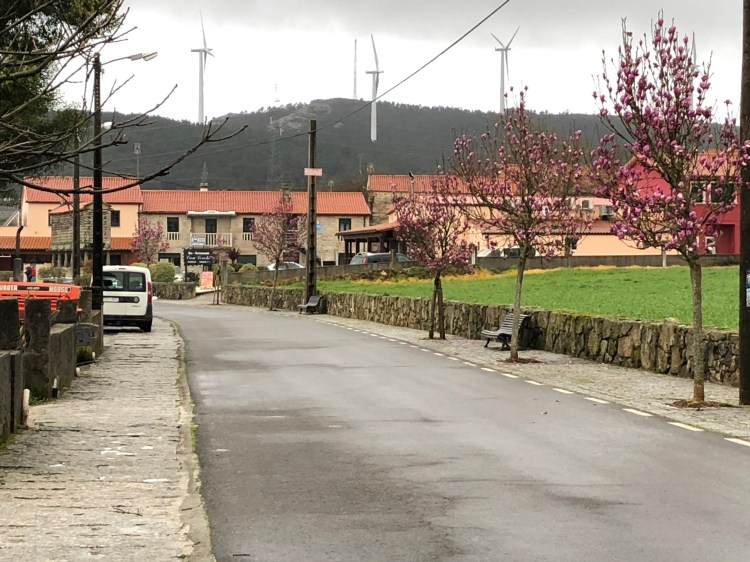 6CC1C0A3-BFE9-43AD-B4C5-CB6D1969BE24