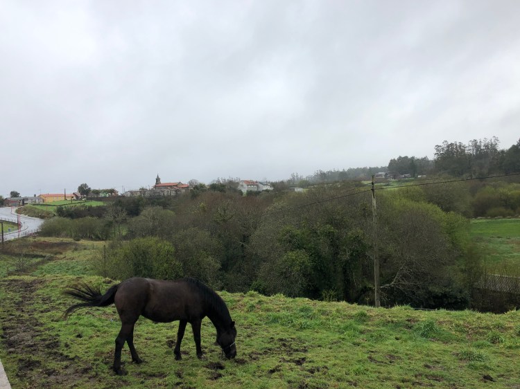 7E20DA3C-6169-41FB-B958-55E9C77D0218