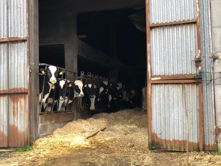 7F7202DB-1A9A-4DD6-95B8-981619CAB842