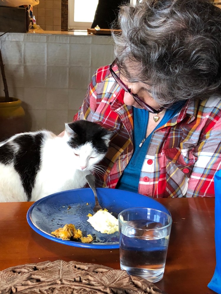 7FF49D5D-2FB3-4696-A1B8-58E1DCD32452