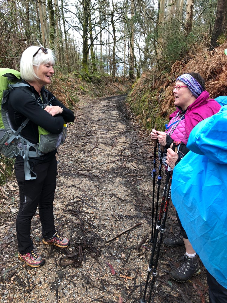 87E7C053-EBA5-4E26-9923-4D4E90BAD3A4