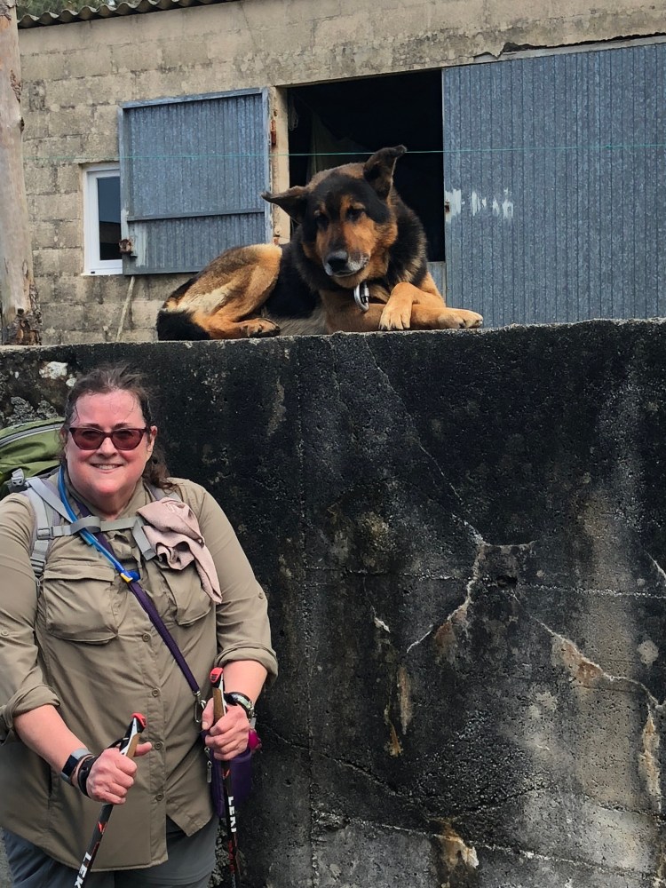 8E55A721-F92D-4735-A198-D93E656EED8D