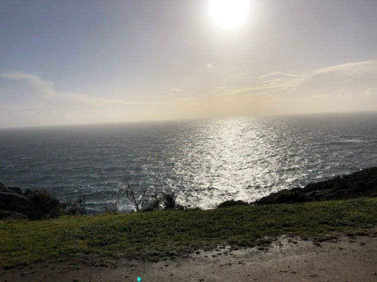 938A8256-D582-4D9A-8478-408D6C989822