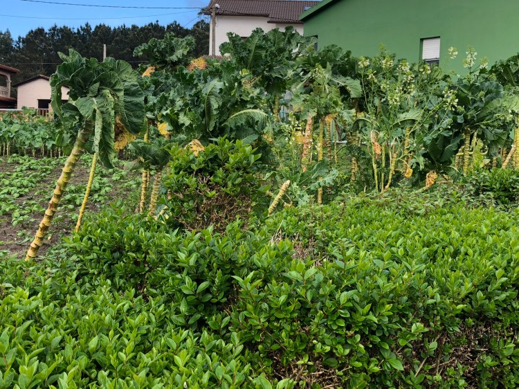 9A67ABDA-47DD-4EFC-AB2B-5124BB5D3A56