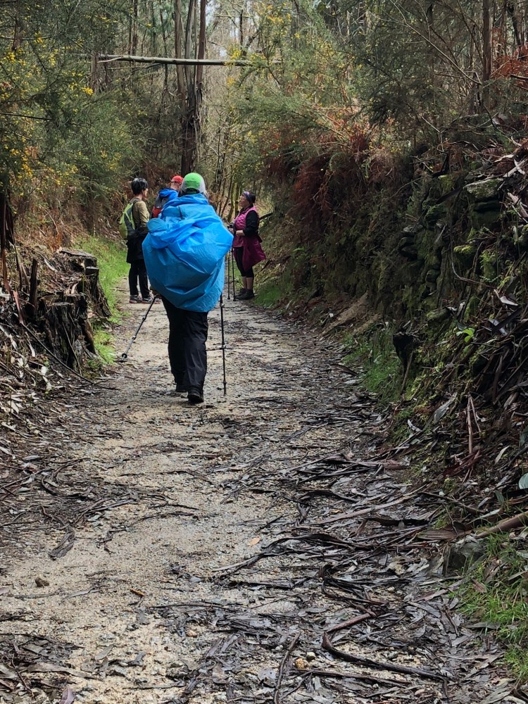 A58FF014-2A9D-4D5A-9E47-4A029CC825A6