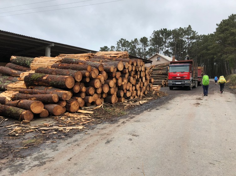 A79281E3-FCB1-46EE-8FEF-8D49EA1589FD