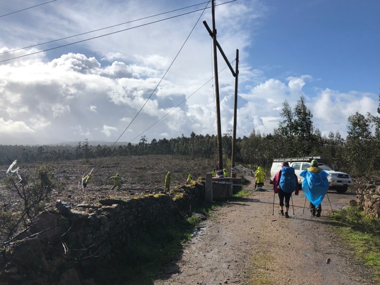 AC3BFB47-6C4F-4203-8224-1EA72454B1EF