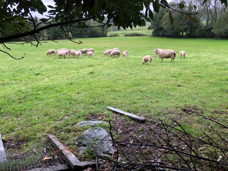 AC9EC848-CDF9-4525-9D9A-19ABC61D9E96