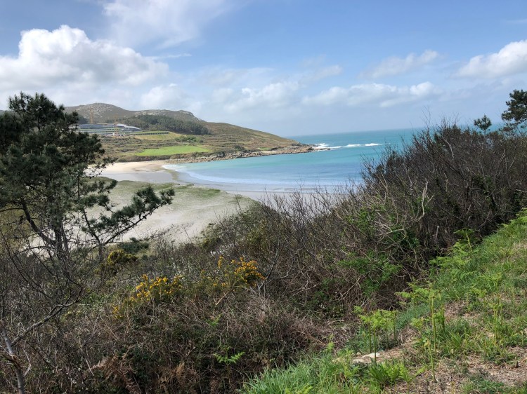 B049B734-71E6-4831-A231-41D054B56BF1