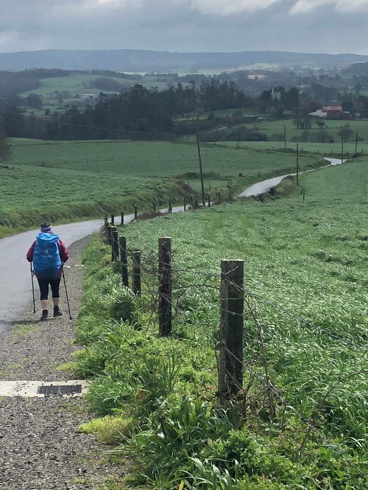 B188A867-AB7F-4FC4-887C-ADD8557C4B35