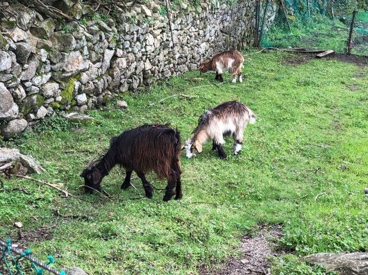 B55F2BC7-CC2F-4084-B112-4CF7CB383225