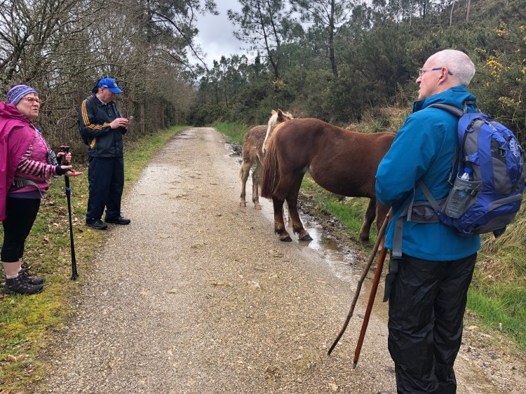 CD99BD17-686F-4DCC-99B2-26BA353032F6