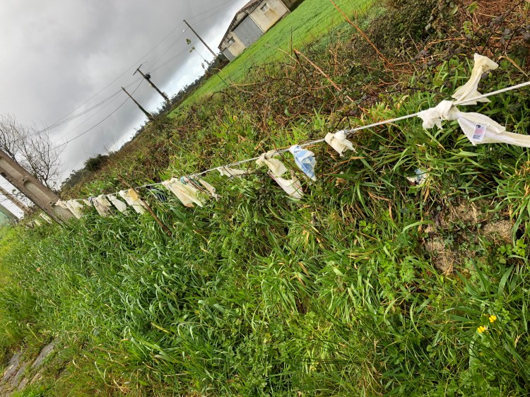 D4F66B6F-F8F9-4348-86C3-25664695A6F1