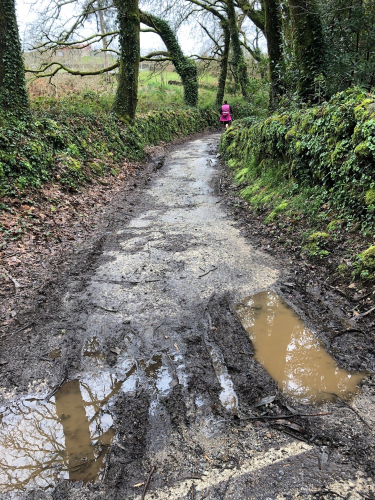 D5D18034-0F45-4A4A-AAF4-751D3D2CD08D