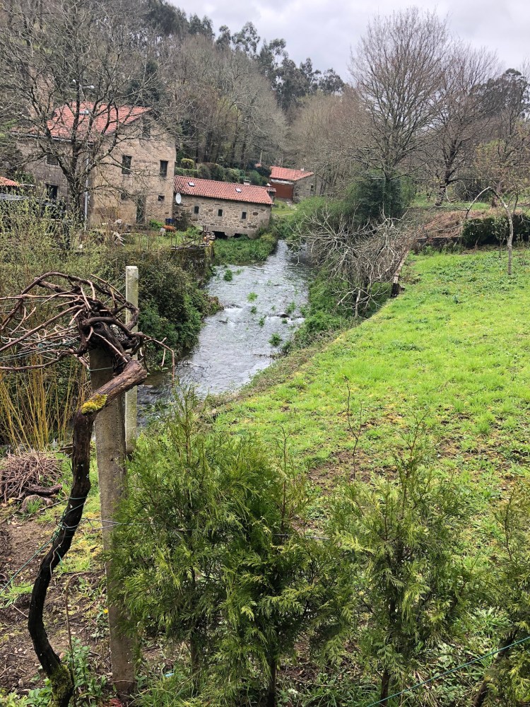 E8E0C15F-A449-4AA6-B1BF-C92CE55FADA1