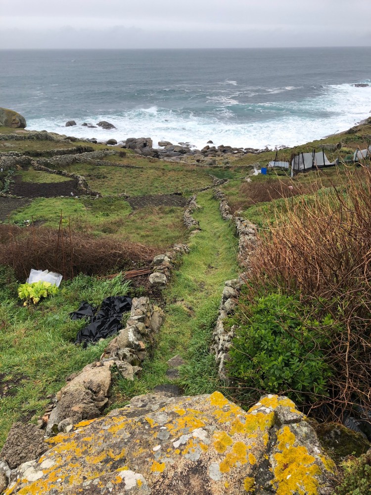 ED7623D0-EE9A-4418-880A-8AA3D66CA7EA