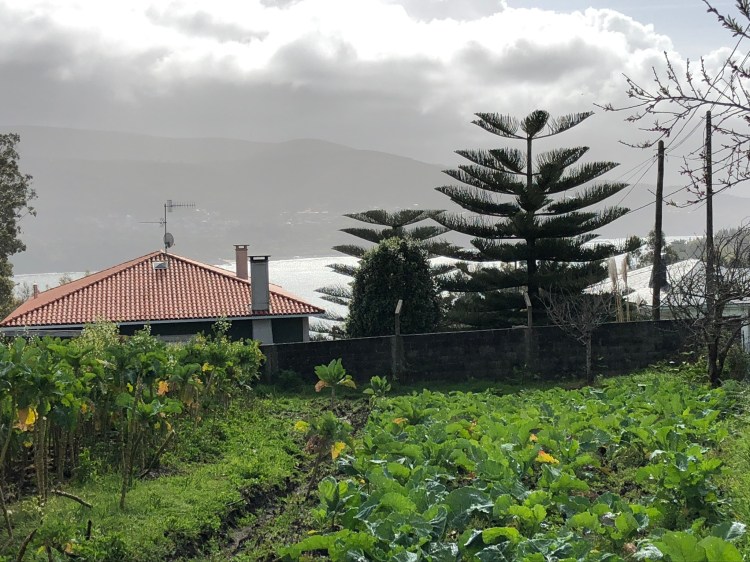 02E45570-6E8E-4029-8AD0-6782B69C547E