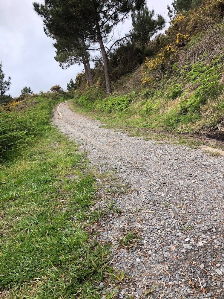 10ED9C55-4E36-447F-A0BD-91107E08F5F0