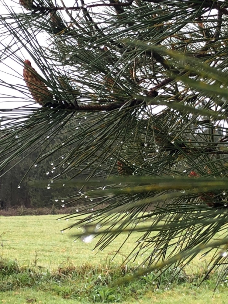 1178D144-9399-4E24-A9B7-99CEF4204A9F