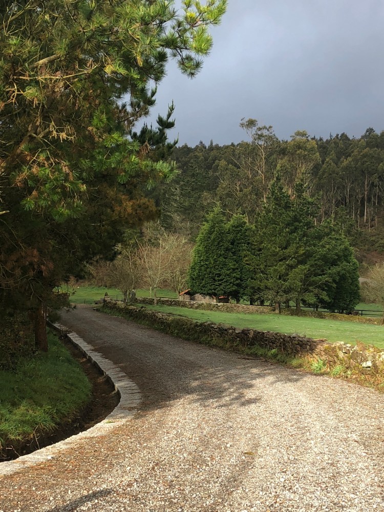 17A918AA-74B0-4F03-8C71-EBA4A31B7E56