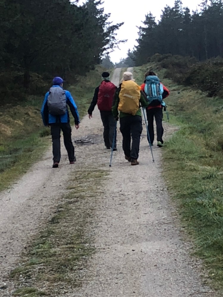 2FDD0D09-09D2-45D4-A1C4-5C7C9063F1D6