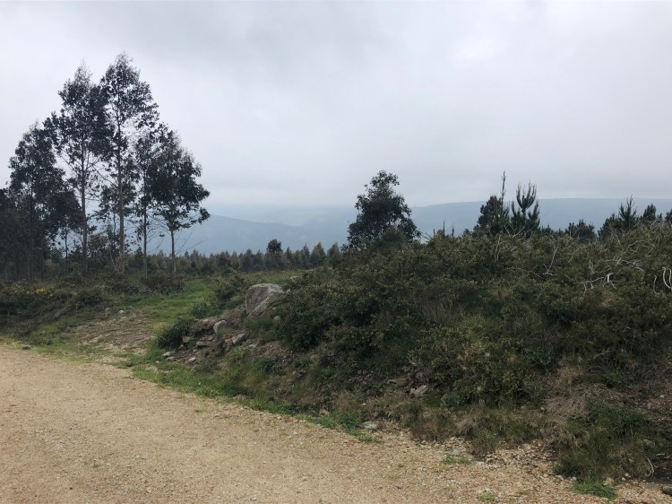 35FFA503-33CB-44E1-AA4B-7ABBB9004C9B