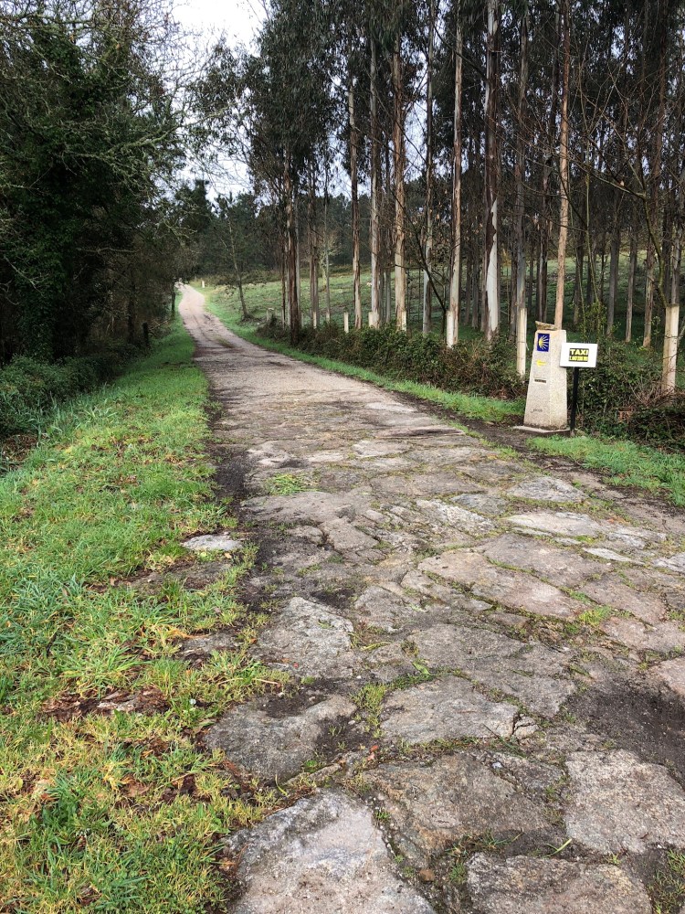 560A0DC3-B10D-47AF-96E6-F0E641ABFD2E