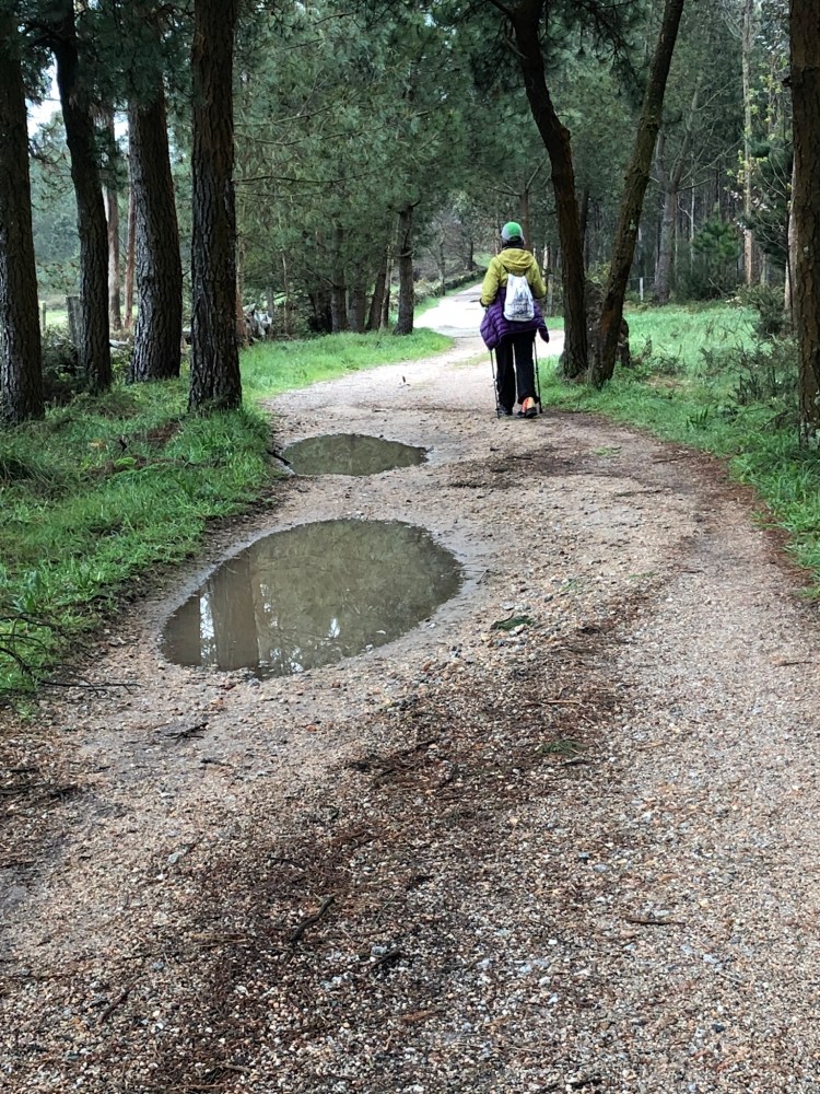 5C68F0CB-39DA-4BFE-9D98-0337F07FB6B5