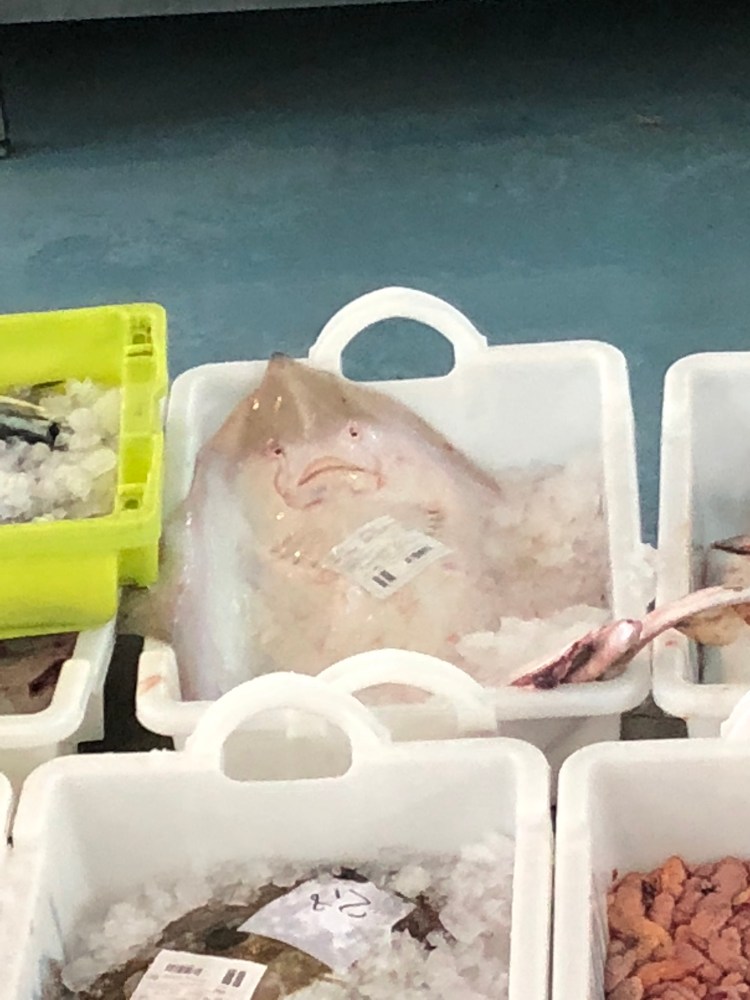 6AC7AB67-1B90-406D-97EF-C2B2AEAA7D76