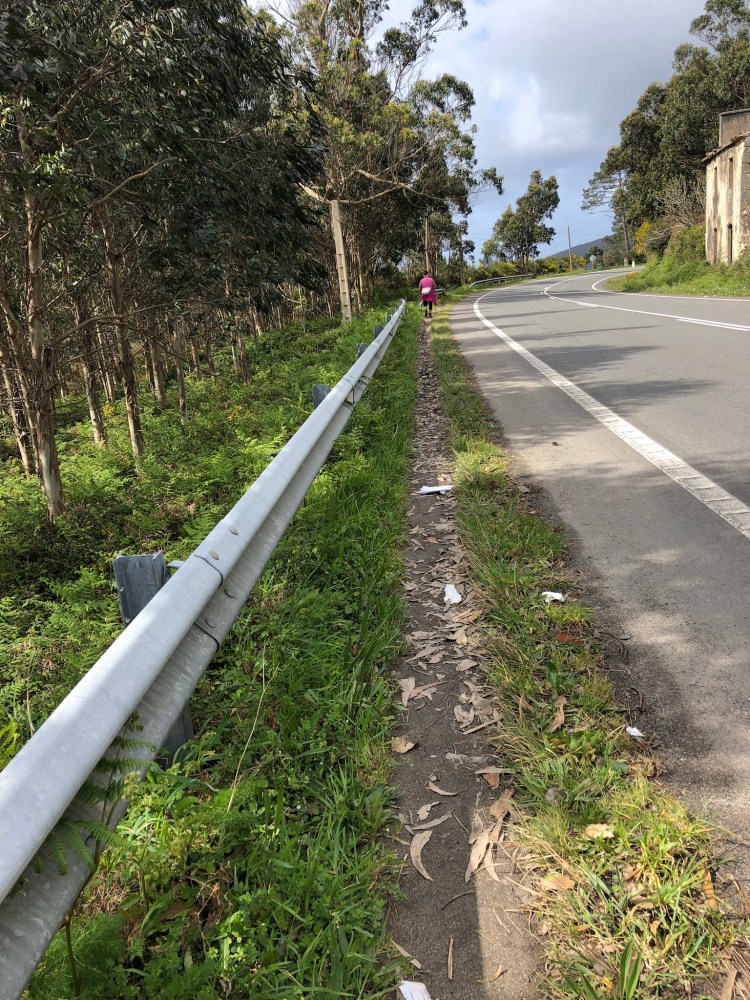 8E08C6D1-D986-42A7-A5BB-4AB8603BE2A3