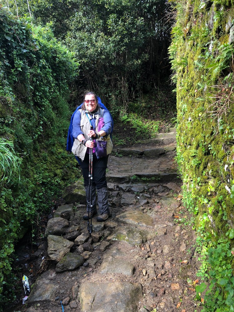 B2DF6D81-509E-4A8E-91F7-5ED7C0DDA143