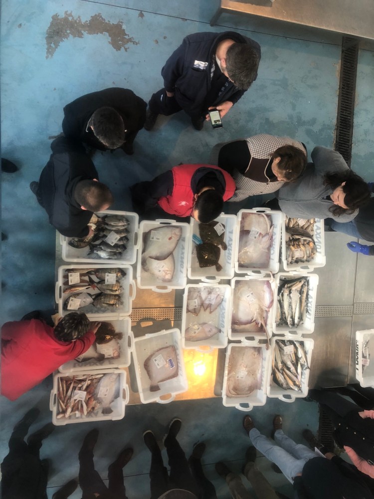 D3104444-A844-4C2E-9F3A-F18AB18ECD28