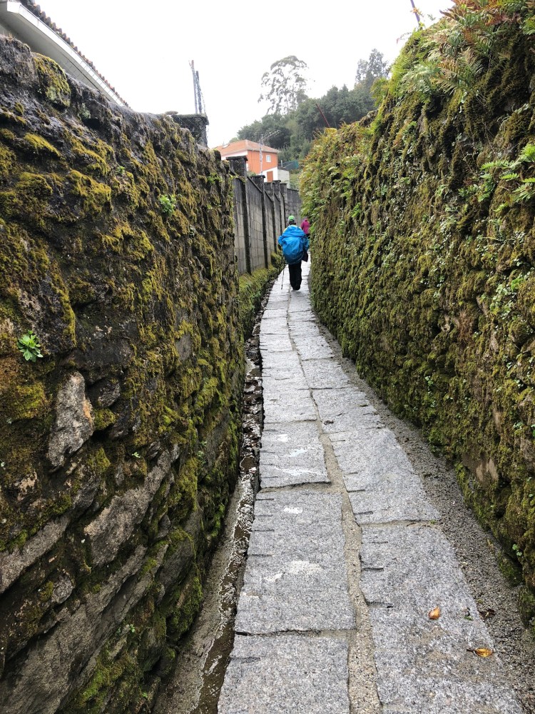 D3A455FE-11B8-4047-A926-E92EF494CF09