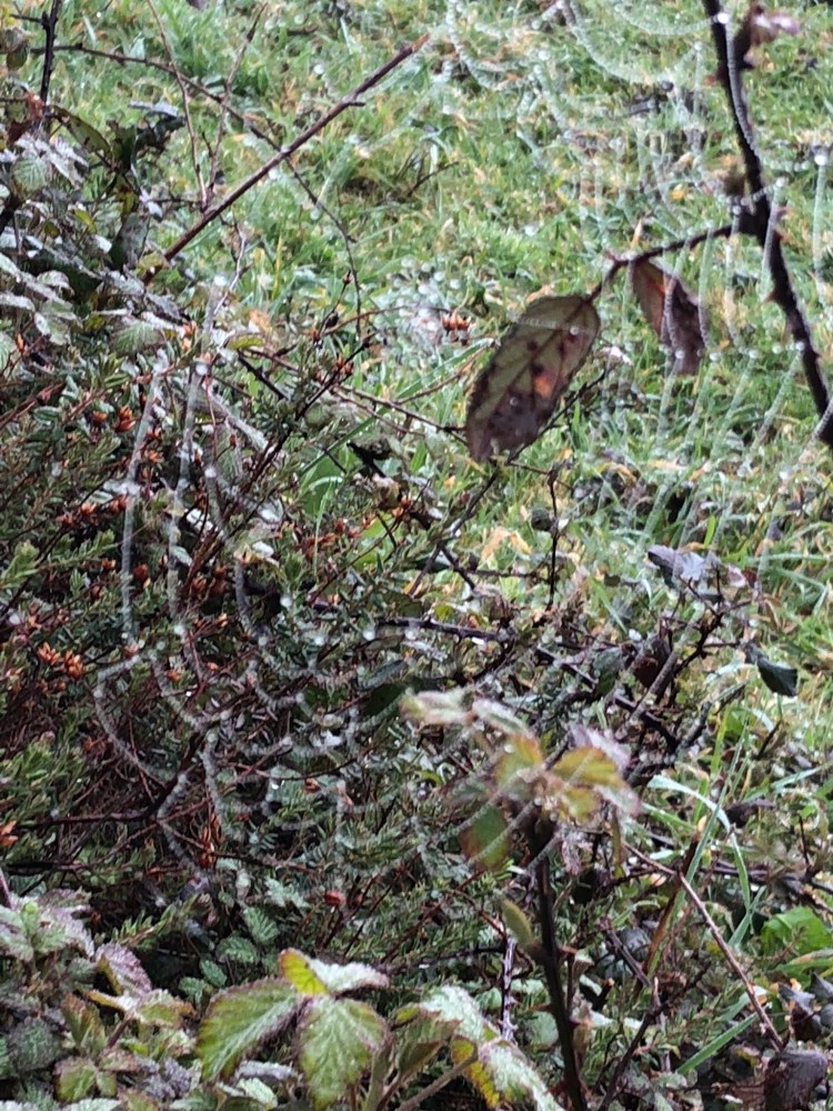 DD6E7A72-264E-42EE-A7D1-E9D02C1A5251